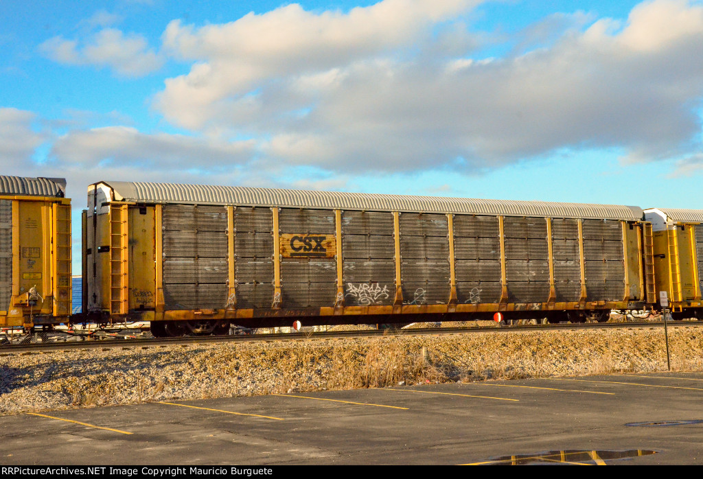 TTGX CSX Autorack